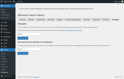 Page screenshot: Settings &rarr; Relevanssi &rarr; 
			Debugging