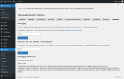 Page screenshot: Settings &rarr; Relevanssi &rarr; 
			Debugging