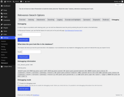 Page screenshot: Settings &rarr; Relevanssi &rarr; 
			Debugging