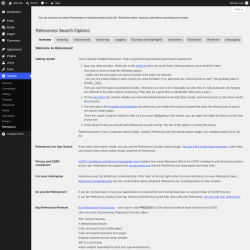 Page screenshot: Settings &rarr; Relevanssi