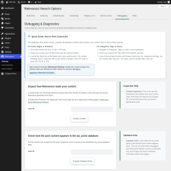 Page screenshot: Relevanssi &rarr; 
			Debugging