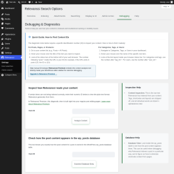 Page screenshot: Relevanssi &rarr; 
			Debugging