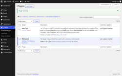 Page screenshot: Plugins &lsaquo; Test site &mdash; WordPress