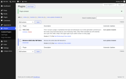 Page screenshot: Plugins &lsaquo; Test site &mdash; WordPress