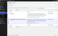 Page screenshot: Plugins &lsaquo; Test site &mdash; WordPress