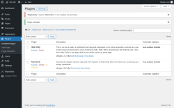 Page screenshot: Plugins &lsaquo; Test site &mdash; WordPress
