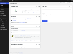 Page screenshot: Dashboard &lsaquo; Test site &mdash; WordPress