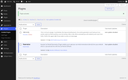 Page screenshot: Plugins &lsaquo; Test site &mdash; WordPress