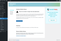 Page screenshot: Settings &rarr; reSmush.it