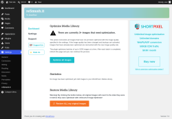 Page screenshot: Settings &rarr; reSmush.it
