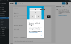 Page screenshot: Widgets &lsaquo; Test site &mdash; WordPress