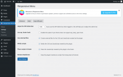 Page screenshot: Responsive Menu &rarr; Settings