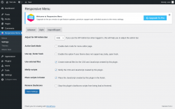 Page screenshot: Responsive Menu &rarr; Settings