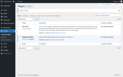 Page screenshot: Plugins &lsaquo; Test site &mdash; WordPress