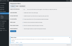 Page screenshot: Responsive Menu → Settings → Advance