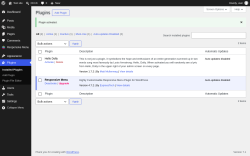 Page screenshot: Plugins &lsaquo; Test site &mdash; WordPress
