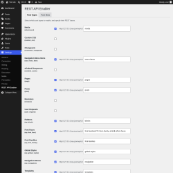 Page screenshot: Settings &rarr; REST API Enabler