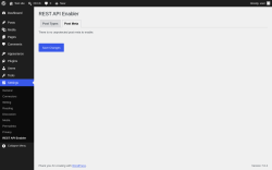 Page screenshot: Settings &rarr; REST API Enabler &rarr; Post Meta