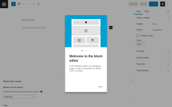 Page screenshot: Add New Page ‹ Test site — WordPress