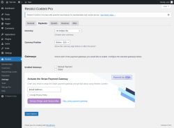 Page screenshot: Restrict → Settings → Payments