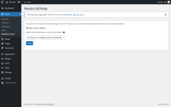 Page screenshot: Posts → Restrict Access