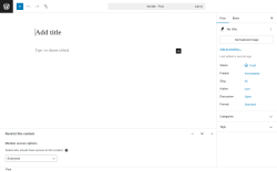 Page screenshot: Add Post ‹ Test site — WordPress