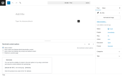 Page screenshot: Add Post &lsaquo; Test site &mdash; WordPress