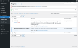 Page screenshot: Plugins &lsaquo; Test site &mdash; WordPress