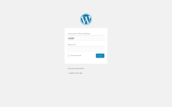 Page screenshot: Log In ‹ Test site — WordPress