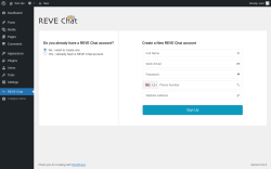 Page screenshot: REVE Chat