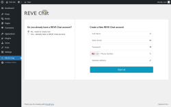 Page screenshot: REVE Chat