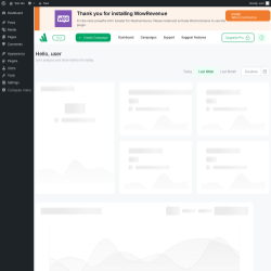 Page screenshot: WowRevenue
