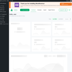 Page screenshot: WowRevenue ‹ Test site — WordPress