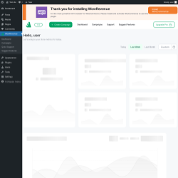 Page screenshot: WowRevenue