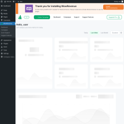 Page screenshot: WowRevenue