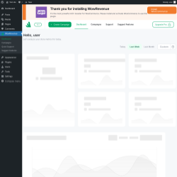 Page screenshot: WowRevenue ‹ Test site — WordPress