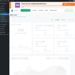 Page screenshot: WowRevenue