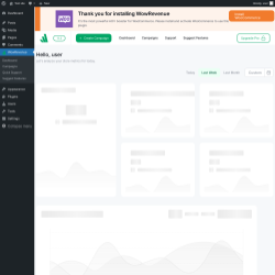 Page screenshot: WowRevenue