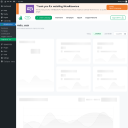 Page screenshot: WowRevenue