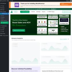 Page screenshot: WowRevenue