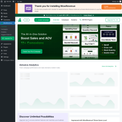 Page screenshot: WowRevenue ‹ Test site — WordPress