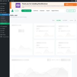 Page screenshot: WowRevenue