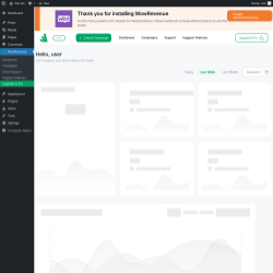 Page screenshot: WowRevenue
