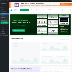 Page screenshot: WowRevenue
