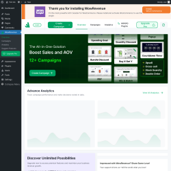 Page screenshot: WowRevenue ‹ Test site — WordPress