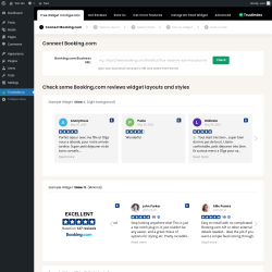 Page screenshot: Booking.com reviews ‹ Test site — WordPress