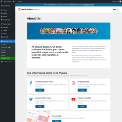 Page screenshot: Reviews Feed &rarr; About us
