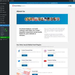 Page screenshot: Reviews Feed &rarr; About us