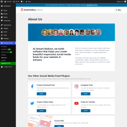 Page screenshot: Reviews Feed &rarr; About us