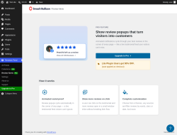Page screenshot: Reviews Feed &rarr; Review AlertsPRO